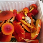 プレゼンテ スギ - 達人おじいちゃんが採取したキノコ