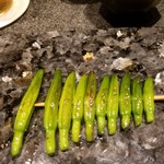 鳥さわ22 - 金針菜