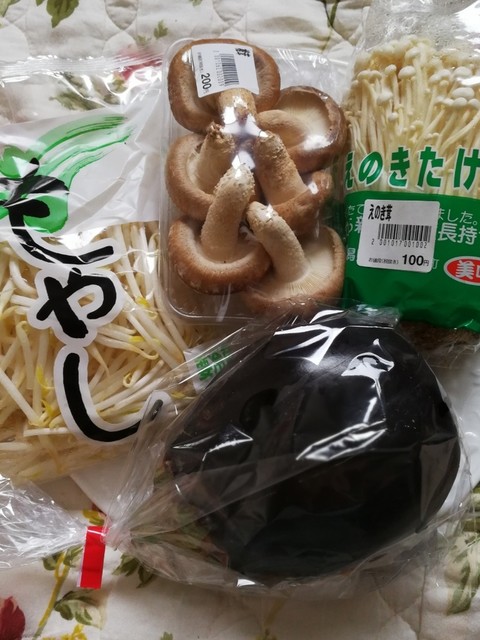 株主会社半田食品 刈田綜合病院店 - 白石（その他）