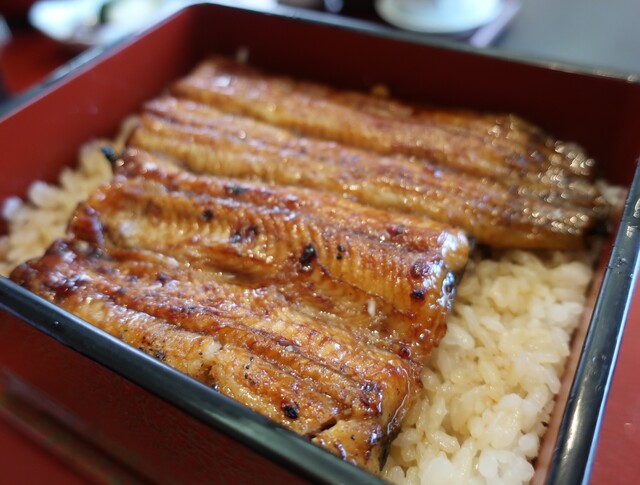 鰻 和処 いづ喜 館山 うなぎ 食べログ