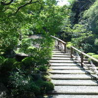 京大和 - 庭