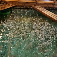 河太郎 中洲本店 - 