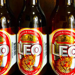 LEO BEER Rio Beer