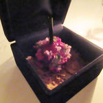 ステラート サパークラブ - アミューズ1