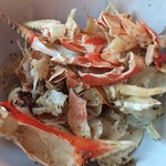 CRUSTACEAN - 