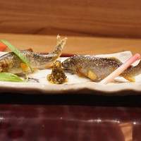 日本料理 とくを - 琵琶湖子持ち鮎