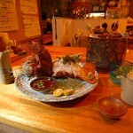 シュリンパー - セミエビ（入荷はマスターに確認してください）