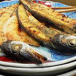 大船 - カマス焼き