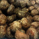 大船 - キヌカツギ