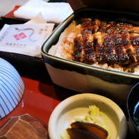 うなぎ和食  しら河 今池ガスビル店 - ひつまぶし