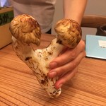 柚木元 - こういうのが出てくると豊作だそうです