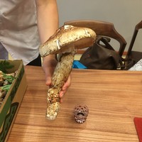 柚木元 - 大物はフライに