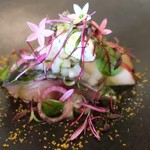 マダム・トキ - 