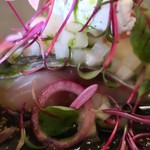 マダム・トキ - 