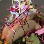 マダム・トキ - 