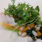 マダム・トキ - 