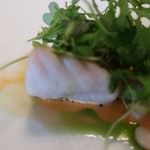 マダム・トキ - 