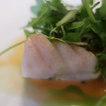 マダム・トキ - 