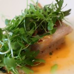 マダム・トキ - 