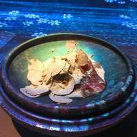 佐賀牛 Sagaya 銀座 - 