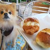 スペイン石窯パン513BAKERY  - 【2018.09】テラス席はわんこもＯＫです♪