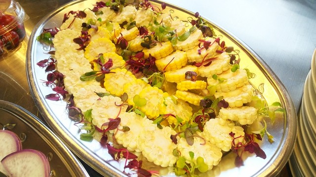 ハレノヒ食堂 ハレノヒショクドウ 西八王子 自然食 食べログ