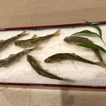 日本料理 一意専心 - 