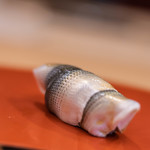 三笠鮨 - 肥後（ひご）天草（あまくさ）小鰭（こはだ）の新子（しんこ）