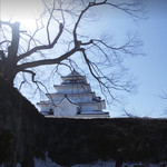 大鴻運天天酒楼 - 福島の城(名前が思い出せません！八重の花の城