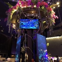 リュクス ダイニング ハプナ - 