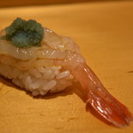 鮨処寿司大 - ボタン海老