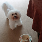 でも、元気に朝ゴハン〜♬