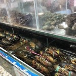 Bandar Djakarta Ancol - 