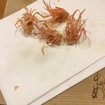 お座敷 天婦良 あやめ - 