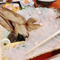 日本料理てら岡 中洲本店 - あら活き造りしゃん