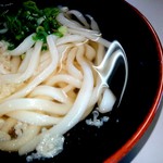 Fujimi Udon - 