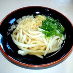 Fujimi Udon - 温かけ1玉　￥240