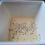 ラ・クロチェッタ - 