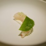 キュイジーヌ[s] ミッシェル・トロワグロ - 前菜（ボタンエビのラフレシー）