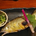 タマミヤ 伊奈波 - 焼魚の子持ち鮎