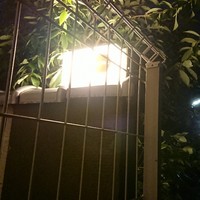 ごはんや 要兵衛 - 