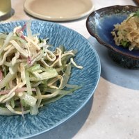 CINA New Modern Chinese - 