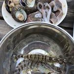 二見浦シーサイドバーベキュー場 - 