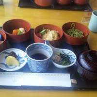 日本料理　さざんか - ランチメニュー