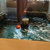 河太郎 中洲本店 - 