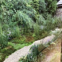 菊乃井 本店 - 