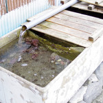 磯料理 一吉 - 生け簀