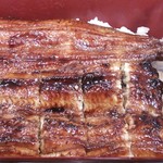 う奈ぎ道場 - 逆Ver