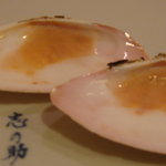 鮨 志の助 - まんじゅ貝　の貝殻　内側