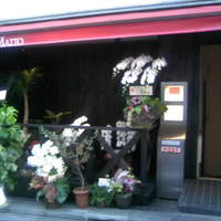 オッジ ダルマット 西麻布店 - 